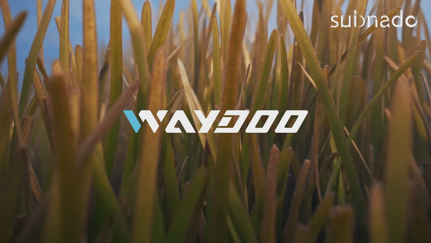 Subnado-Underwater Scooter – Waydoo